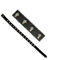Nietenhalsband
