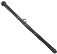 Nietenhalsband Spitzniete mit Ring