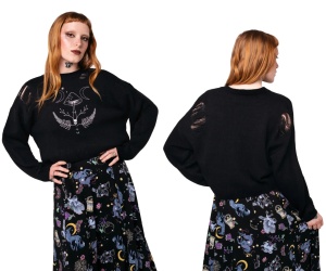 Pullover Fliegenpilz und Monden